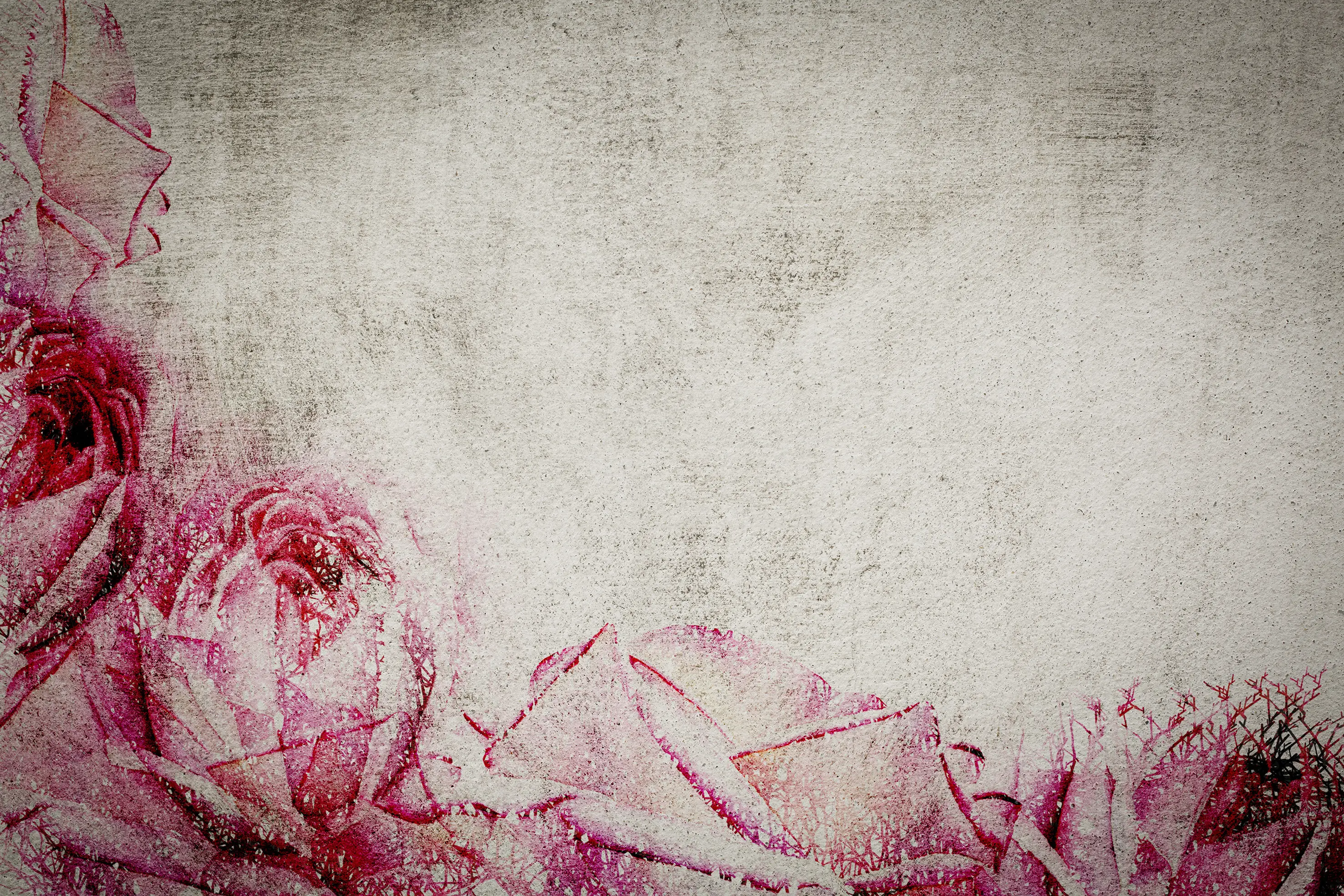 gallery-slide-0